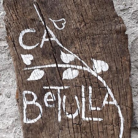 Ca Betulla Villa Novate Mezzola Luaran gambar