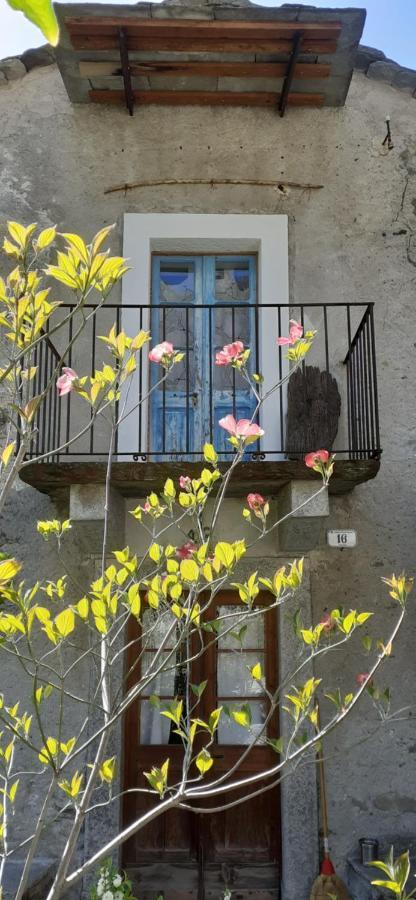 Ca Betulla Villa Novate Mezzola Luaran gambar