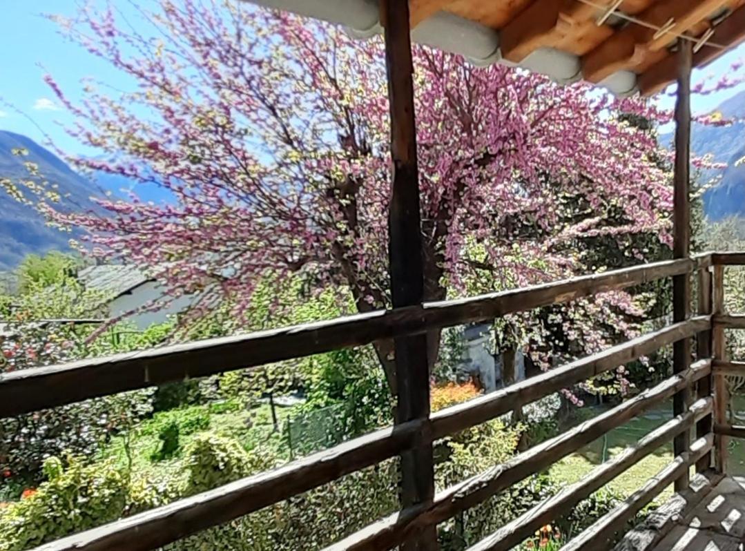 Ca Betulla Villa Novate Mezzola Luaran gambar