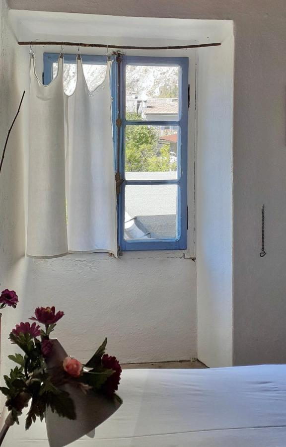 Ca Betulla Villa Novate Mezzola Luaran gambar